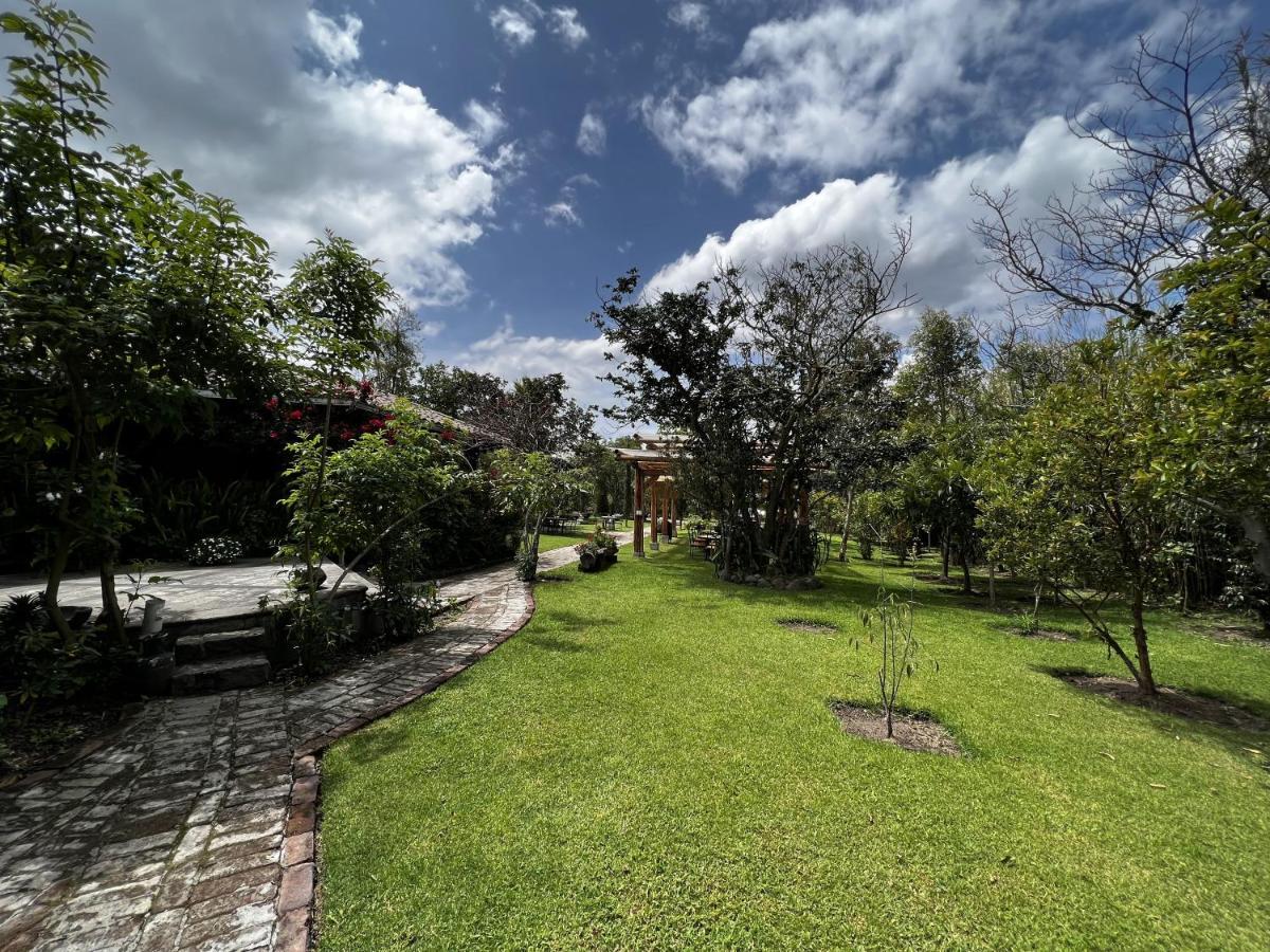 Hacienda Jimenita Wildlife Reserve Puembo エクステリア 写真